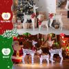 3-Piece Lighted Christmas Reindeer Family Set Outdoor Decorations
